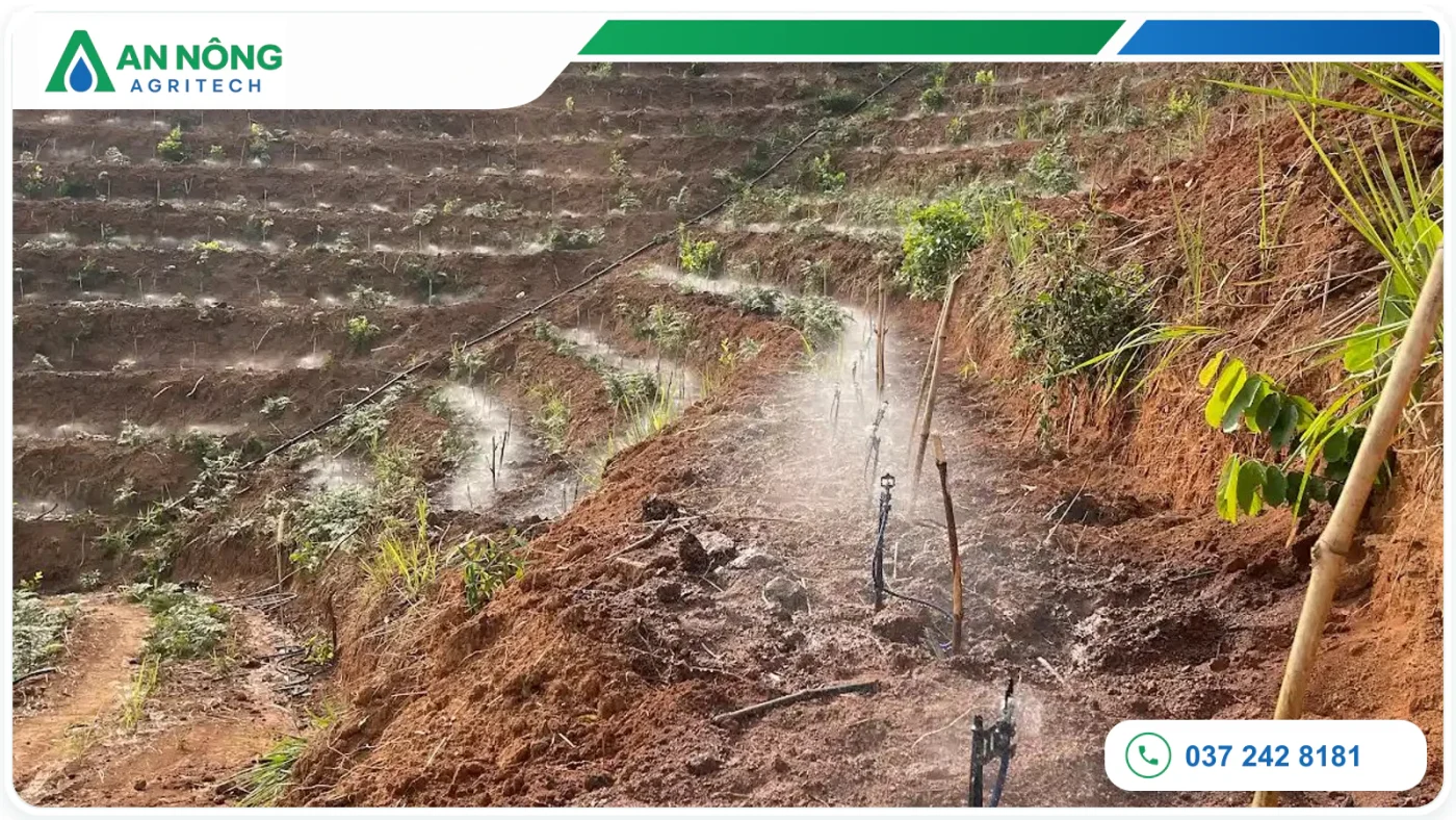 Hệ thống đầu tưới đang vận hành trên hàng cà phê tại Mang Yang, Gia Lai