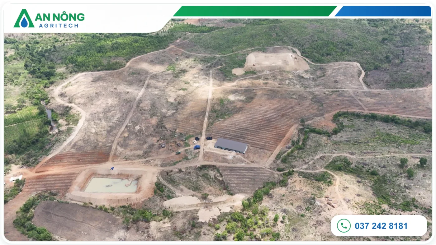Toàn cảnh quy hoạch farm ca cao tại Ia Pia, Chư Prông, Gia Lai